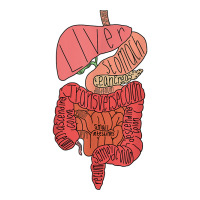 Labeled Digestive Tract T Shirt Long Sleeve Shirts | Artistshot