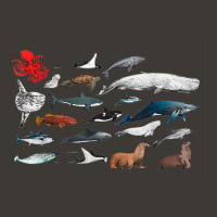 Sea Creatures Collection, Fish Shark Whale Moonfish Fish Motif T Shirt Bucket Hat | Artistshot