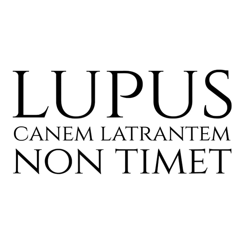 Lupus Non Timet Canem Latrantem Ancient Roman Latin Phrase T Shirt Long 