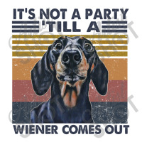 It's Not A Party ' Till A Wiener Comes Out T Shirt Youth Zipper Hoodie | Artistshot