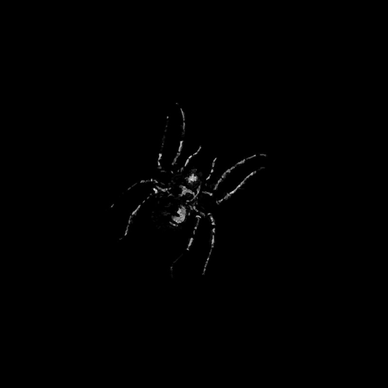 Spider Web Halloween T  Shirt Spider Web Arachnophobia Bugs Halloween V-neck Tee | Artistshot