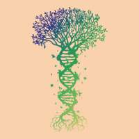 Dna Tree T  Shirt D N A Tree Of Life Genetics Colorful Biology Science Cropped Hoodie | Artistshot