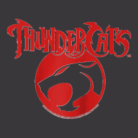 Thundercats Raglan Baseball Tee Ladies Curvy T-shirt | Artistshot