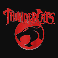 Thundercats Raglan Baseball Tee Crop Top | Artistshot