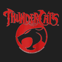 Thundercats Raglan Baseball Tee Ladies Polo Shirt | Artistshot