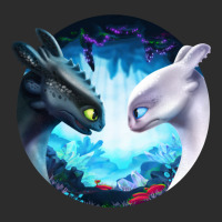 Toothless And Light Fury Exclusive T-shirt | Artistshot