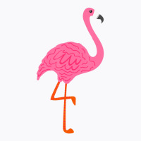 Pink Flamingo On One Leg For Bird & Nature Beach Fans Outfit T-shirt | Artistshot