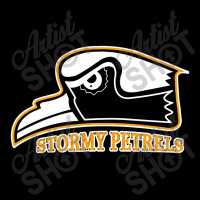 Oglethorpe University Stormy Pretels Youth Hoodie | Artistshot