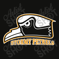 Oglethorpe University Stormy Pretels Scorecard Crop Tee | Artistshot