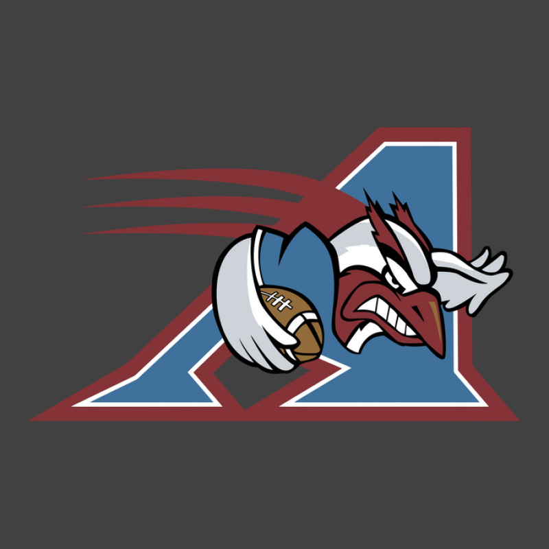 The Montreal Alouettes Vintage T-shirt | Artistshot