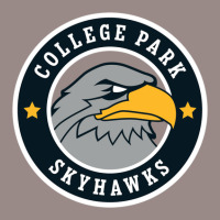 College Park Skyhawks Vintage T-shirt | Artistshot