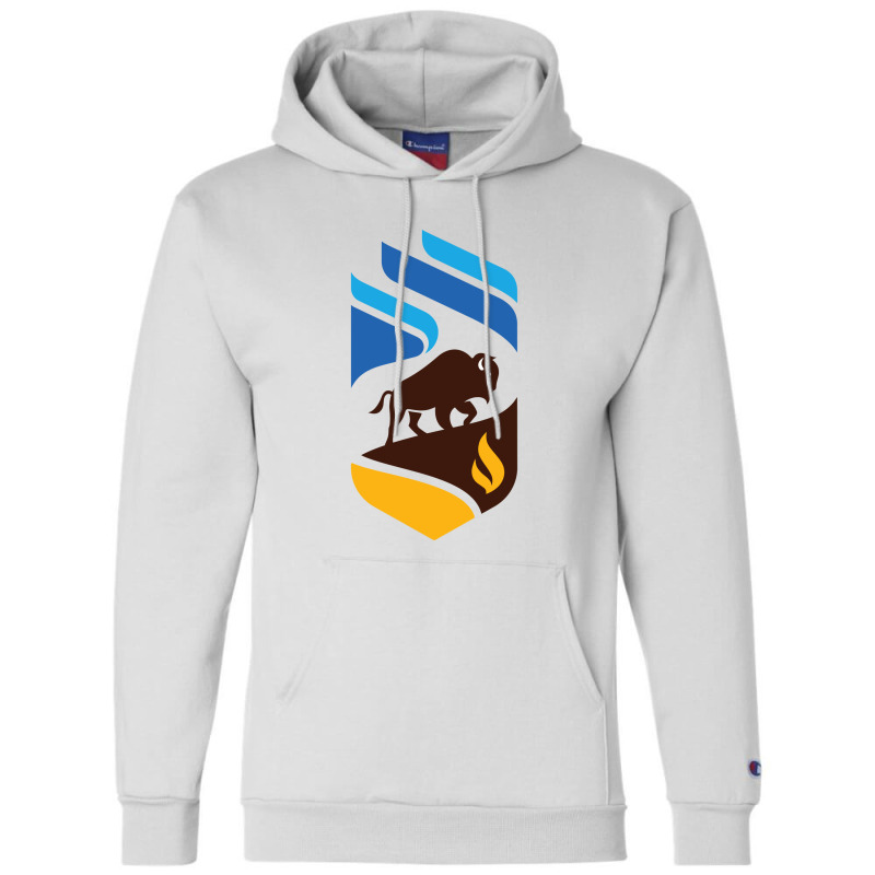 Manitoba Academic 1 Champion Hoodie | Artistshot