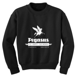 pegasus flight school, hercules Youth Sweatshirt | Artistshot