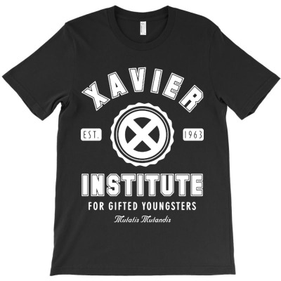 Xavier Institute T-shirt Designed By Oliver Hegmann