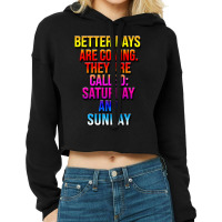 Day Gift Moloko Plus Funny Gift Cropped Hoodie | Artistshot