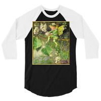 Cicely Mary Barker The Poplar Tree 3/4 Sleeve Shirt | Artistshot