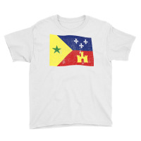 Inclusive Green Star Acadiana Cajun Flag Premium T Shirt Youth Tee | Artistshot