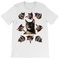 Tortie Cat Tortoiseshell Overload Multi Cat T Shirt T-shirt | Artistshot