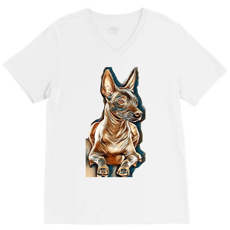 Xoloitzcuintle Dog Isolated  On Black Background In Studio V-Neck Tee by Kemnabi | Artistshot