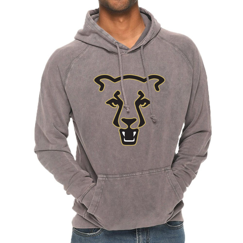 The Uccs Mountain Lions, Colorado Springs Vintage Hoodie | Artistshot