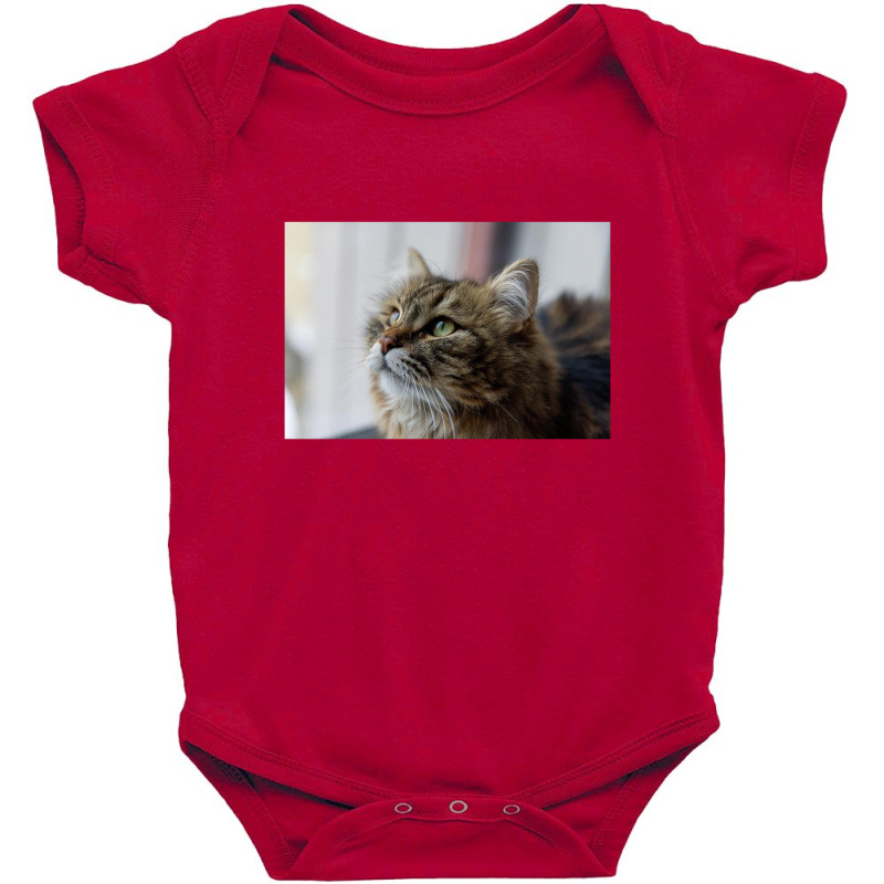 Siberian Portrait Baby Bodysuit by magicbooshrooms | Artistshot