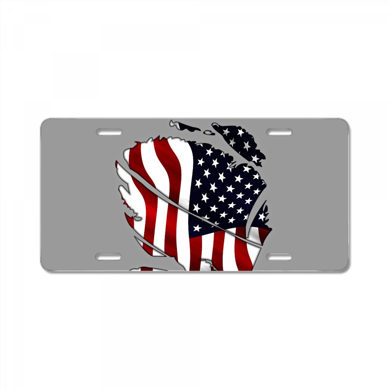 American Flag Inside License Plate | Artistshot