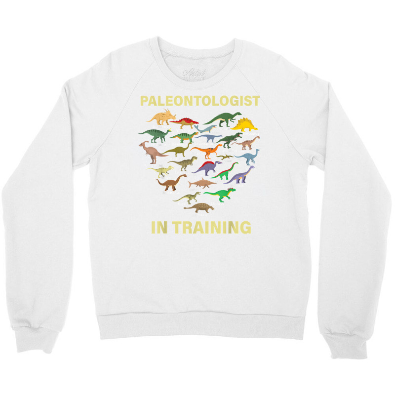 Paleontologist In Training Dinosaurs Dino Kids Boys Girls T Shirt Crewneck Sweatshirt | Artistshot