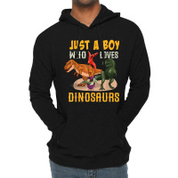 Just A Boy Who Loves Dinosaurs Young Paleontologist Lightweight Hoodie | Artistshot