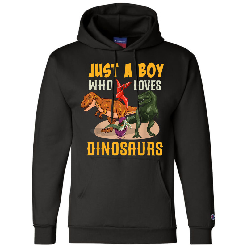 Just A Boy Who Loves Dinosaurs Young Paleontologist Champion Hoodie by Juan-Design | Artistshot