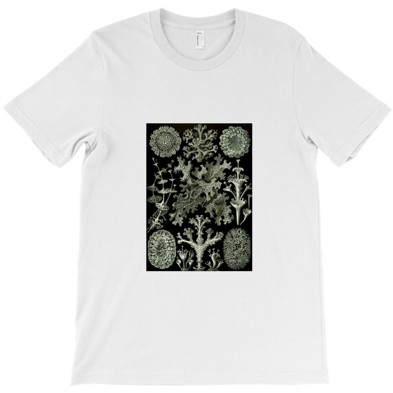 Lichen By Ernst T-Shirt by acesenpaii | Artistshot