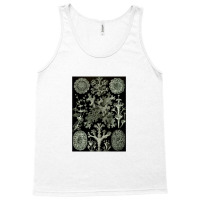 Lichen By Ernst Tank Top | Artistshot