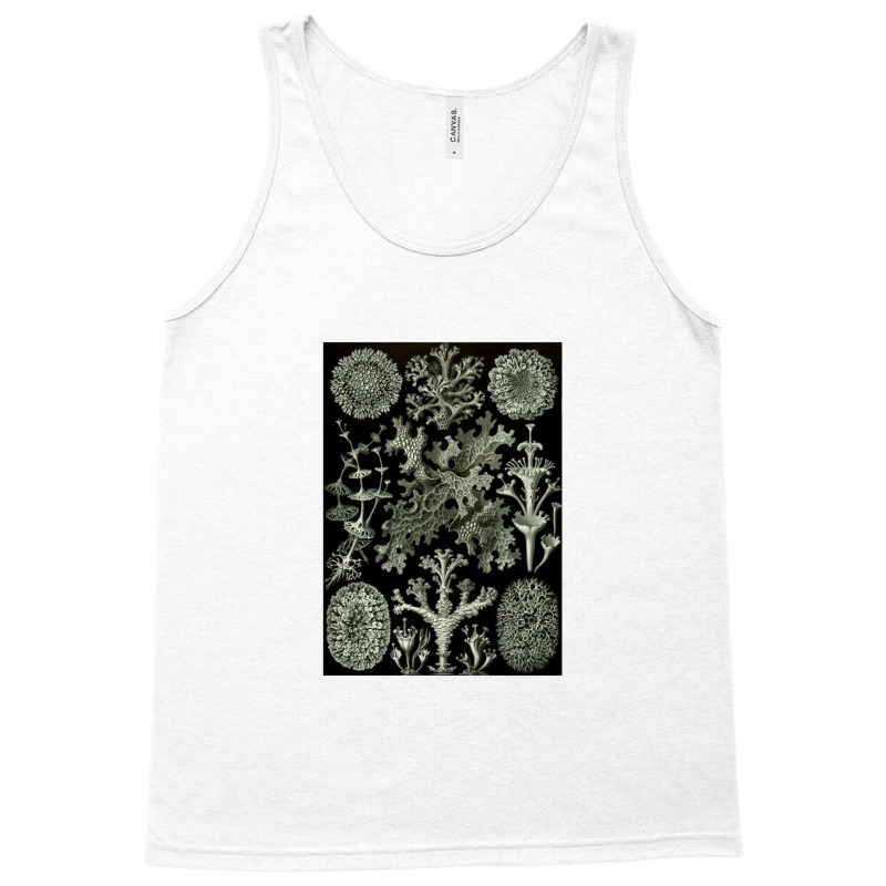 Lichen By Ernst Tank Top by acesenpaii | Artistshot