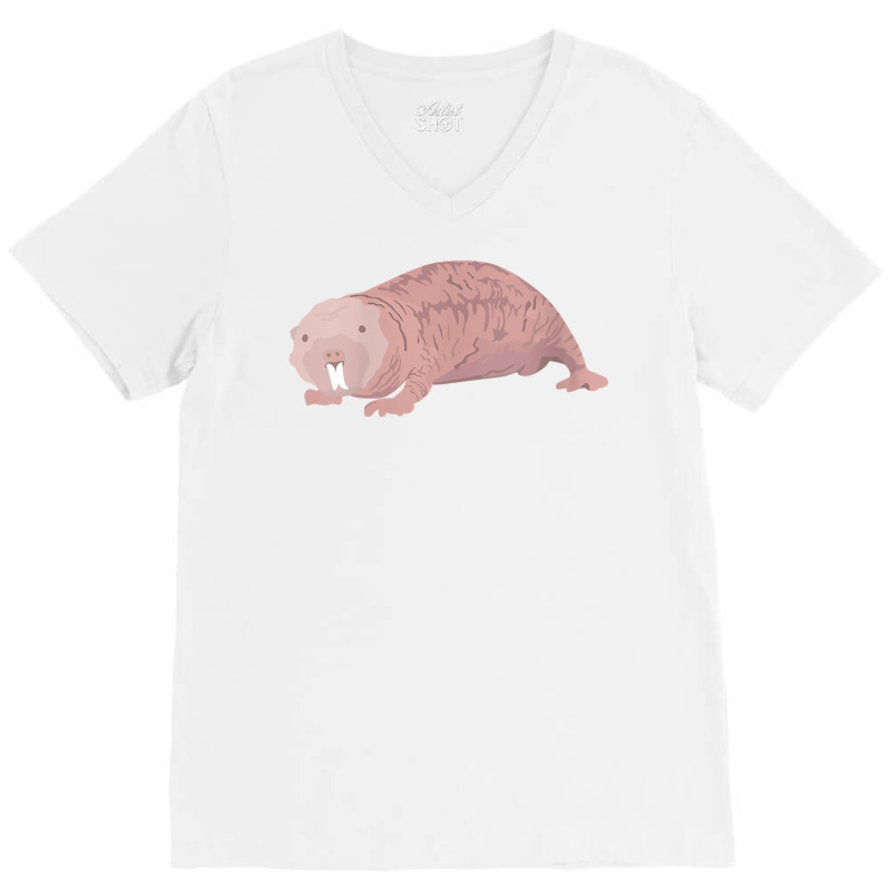 Womens Naked Mole Rat Gift Funny Sand Puppy Hairless Rodent Vermin V N V-neck Tee | Artistshot