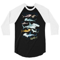 Types Of Hammerhead Shark Guide T Shirt 3/4 Sleeve Shirt | Artistshot