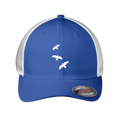 1 Color   Raven Mystical Crows Flying Birds Copy Embroidered Mesh Cap Designed By Madhatter