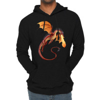 Fire Dragon Lightweight Hoodie | Artistshot