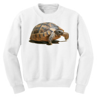 Portrait Of A Young Wild Tortoise Isolated T Shirt Youth Sweatshirt | Artistshot