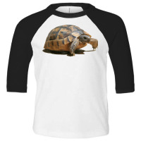 Portrait Of A Young Wild Tortoise Isolated T Shirt Toddler 3/4 Sleeve Tee | Artistshot