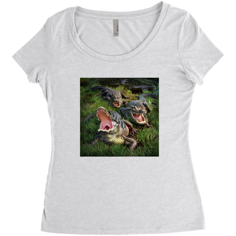 Gator Aid Women's Triblend Scoop T-shirt by gloomychuu | Artistshot