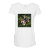 Gator Aid Maternity Scoop Neck T-shirt | Artistshot