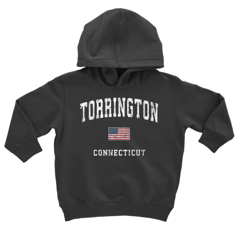 Torrington Connecticut Ct Vintage American Flag Sports Premium T Shirt Toddler Hoodie | Artistshot