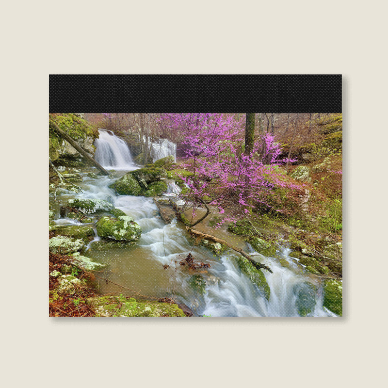 Coward's Hollow Shut Ins Ii Landscape Canvas Print | Artistshot