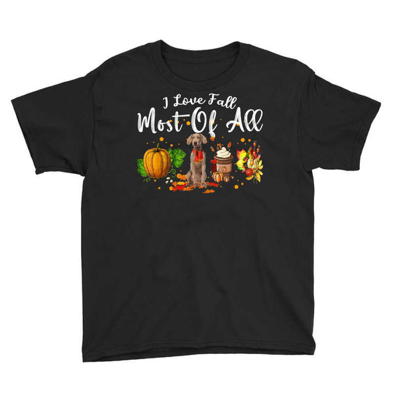 I Love Fall Most Of All Pumpkin Weimaraner Autumn Season T Shirt Youth Tee by dubrayhecallezhd | Artistshot