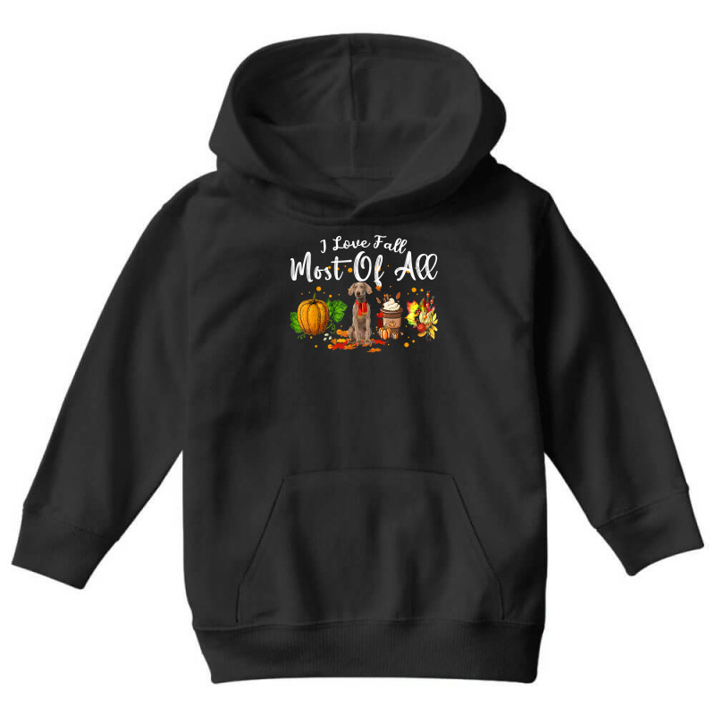 I Love Fall Most Of All Pumpkin Weimaraner Autumn Season T Shirt Youth Hoodie by dubrayhecallezhd | Artistshot