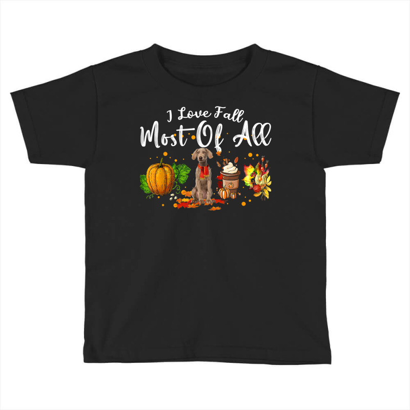 I Love Fall Most Of All Pumpkin Weimaraner Autumn Season T Shirt Toddler T-shirt by dubrayhecallezhd | Artistshot