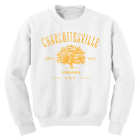 Charlottesville Virginia Usa Vintage Distressed Style Design T Shirt Youth Sweatshirt | Artistshot