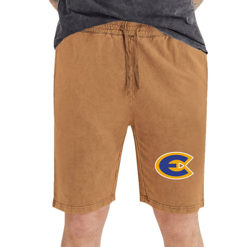 University Of Wisconsin Eau Claire Vintage Short | Artistshot