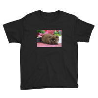 Chocolate Persian Kitten Youth Tee | Artistshot