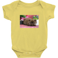 Chocolate Persian Kitten Baby Bodysuit | Artistshot