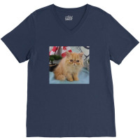 Red Tabby Persian V-neck Tee | Artistshot